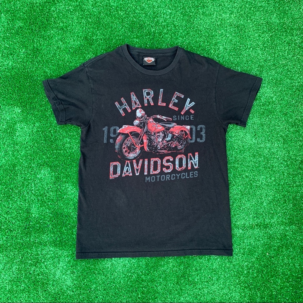 Thunder Mountain Harley Davidson T Shirt Men’s Sm